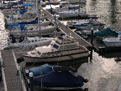 Starboard Bow - Without side canvas